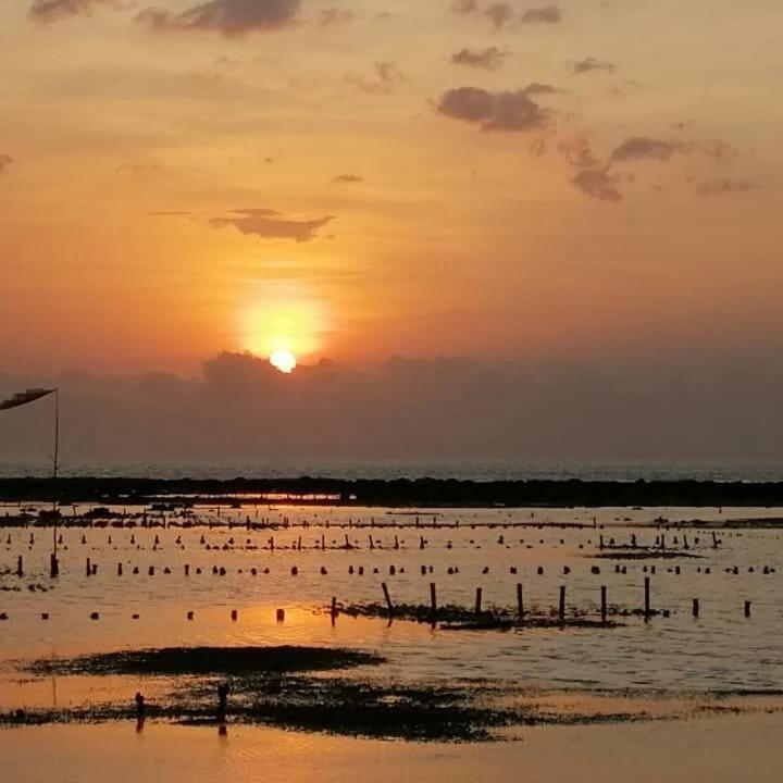 Sollo Sollo Homestay Lemonga Buitenkant foto